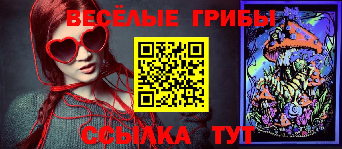 Псилоцибиновые грибы GOLDEN TEACHER  Вход с VPN  где найти наркотики  Салехард  Псилоцибиновые грибы GOLDEN TEACHER 